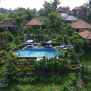 Capung Mas , Ubud (Bali) Indonesia